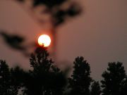 DSCN5046