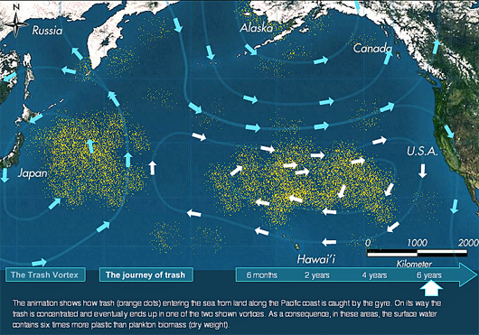 pacific trash vortex