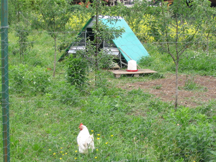 IMG_7168.JPG