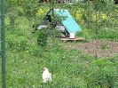 IMG_7168.JPG