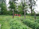 IMG_7171.JPG