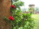 IMG_7240.JPG