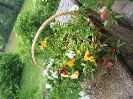 IMG_7249.JPG