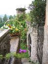 IMG_7251.JPG