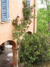 IMG_7218.JPG
