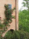 IMG_7217.JPG